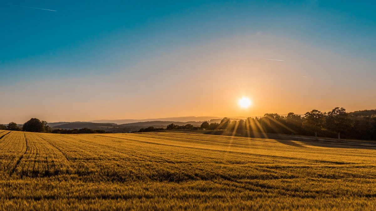 Agricultural landscape related to grain supply