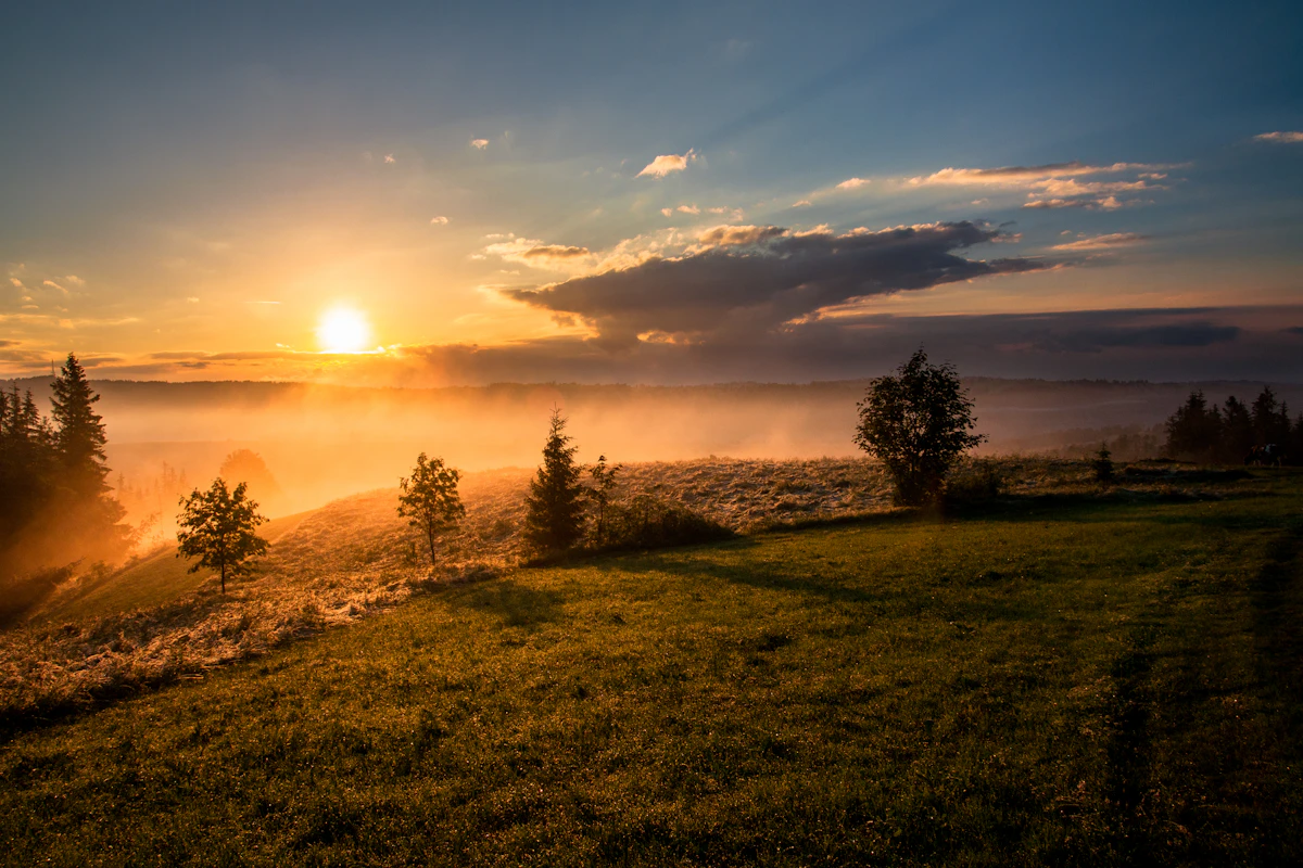 Sunlight over an agricultural grain field